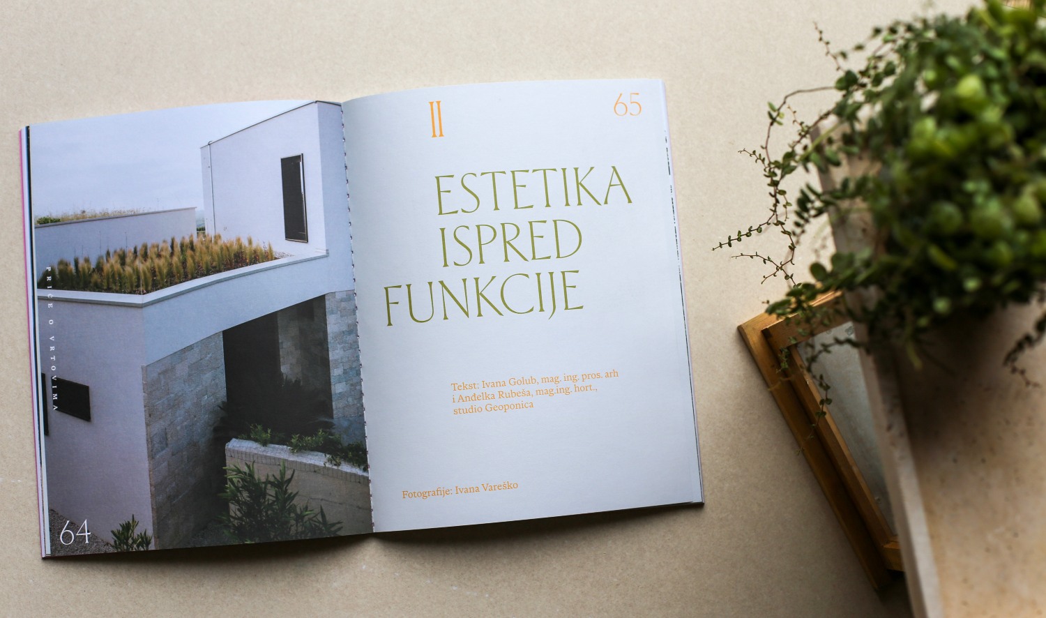 Krajobrazni projekt Ville Alma u Istri, studija Geoponica, predstavljen u magazinu Vert.